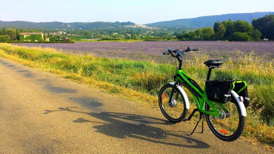 getlstd property photo 373