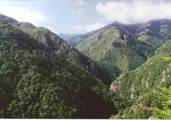 getlstd property photo 375