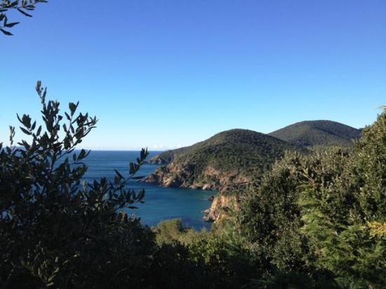 getlstd property photo 384