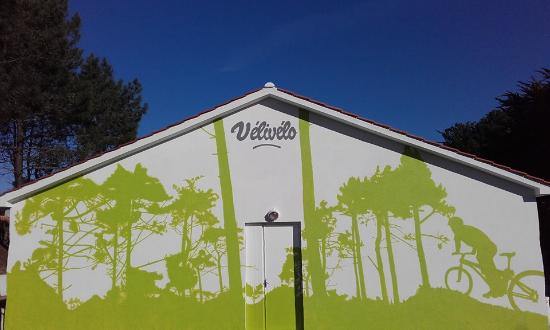 getlstd property photo 397