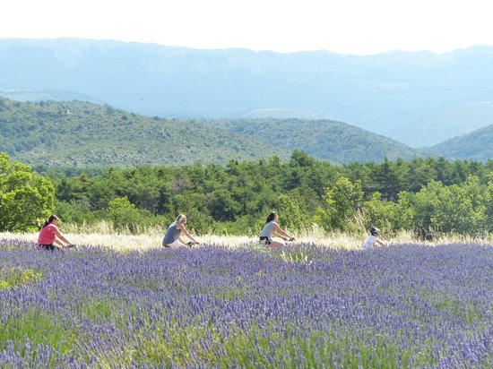 getlstd property photo 400