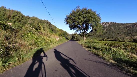 getlstd property photo 403