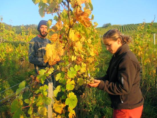 getlstd property photo 404