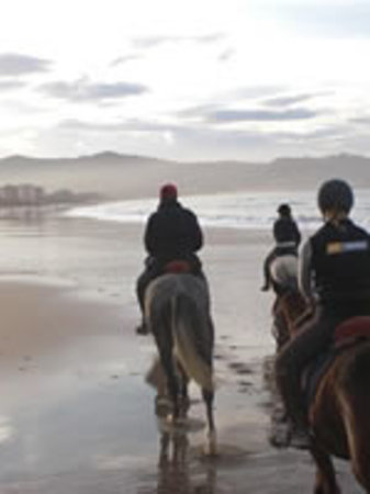 getlstd property photo 412