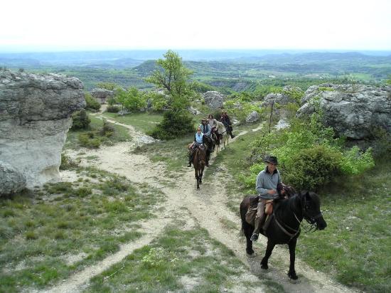 getlstd property photo 413