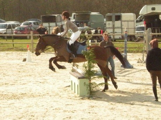 getlstd property photo 414