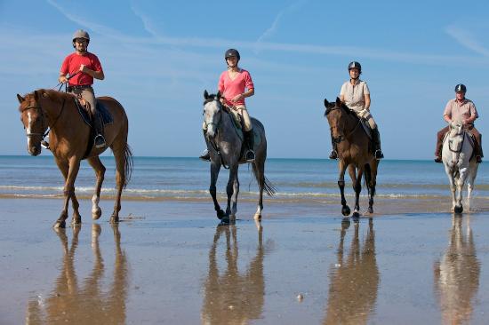 getlstd property photo 416