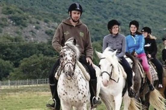 getlstd property photo 418