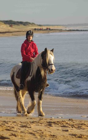 getlstd property photo 419