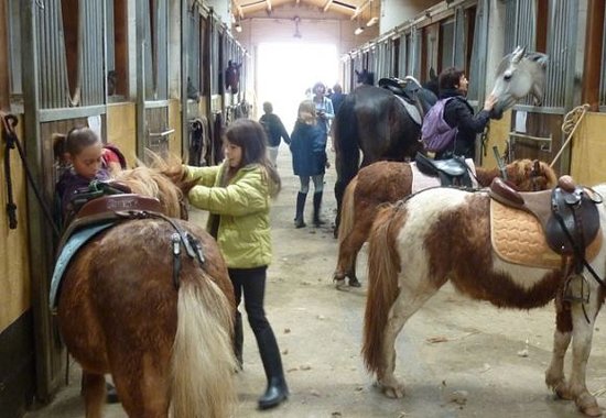 getlstd property photo 420