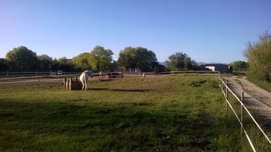 getlstd property photo 421