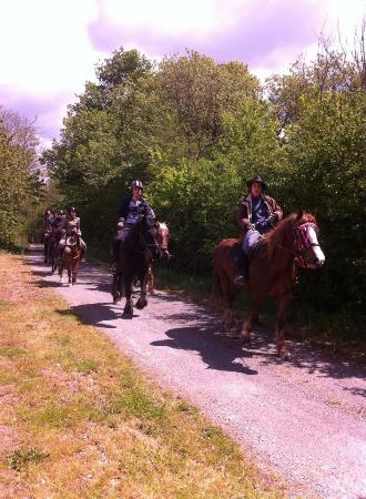 getlstd property photo 422