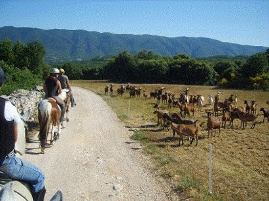 getlstd property photo 423