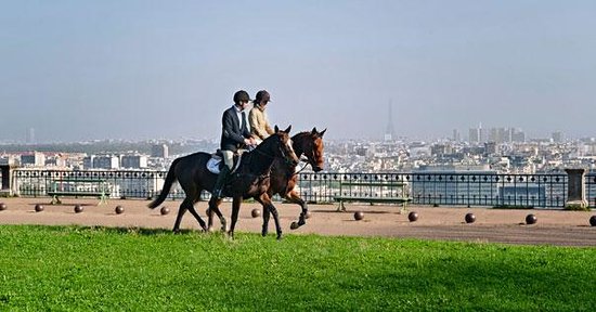 getlstd property photo 424