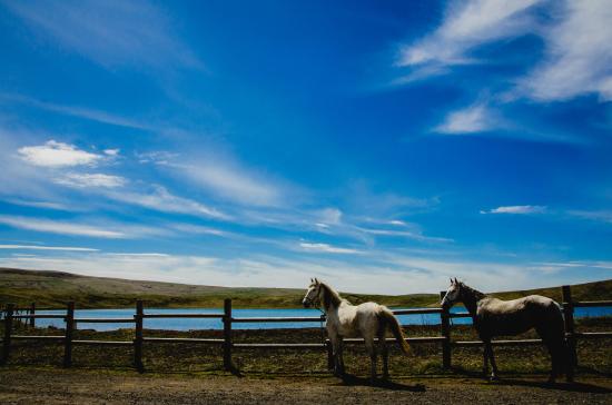 getlstd property photo 427