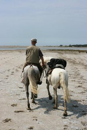 getlstd property photo 429