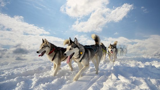 getlstd property photo 437