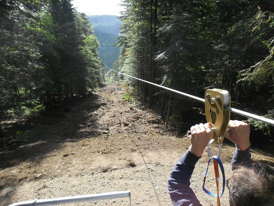 getlstd property photo 445