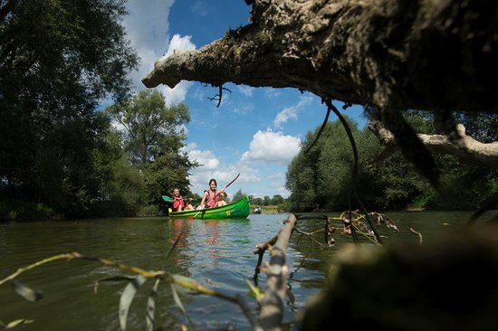 getlstd property photo 479