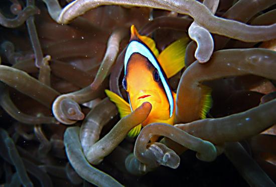 getlstd property photo 509