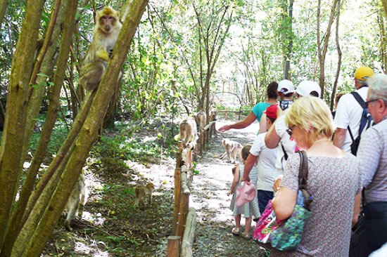 getlstd property photo 585