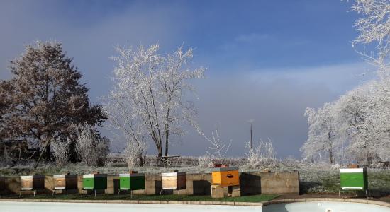 getlstd property photo 605