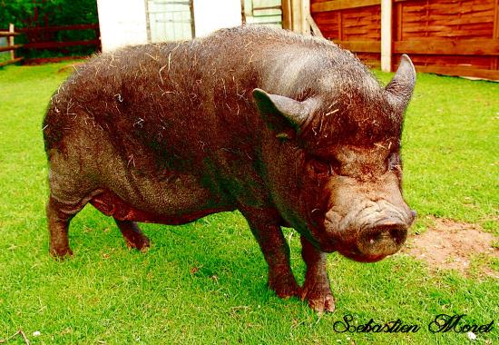 getlstd property photo 657