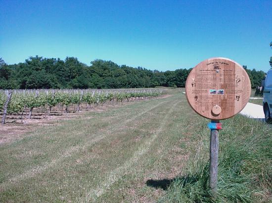 getlstd property photo 666