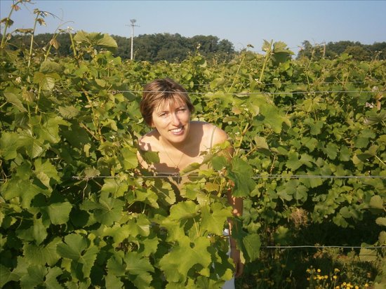 getlstd property photo 692