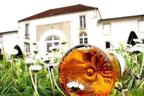 getlstd property photo 713