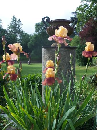 getlstd property photo 721