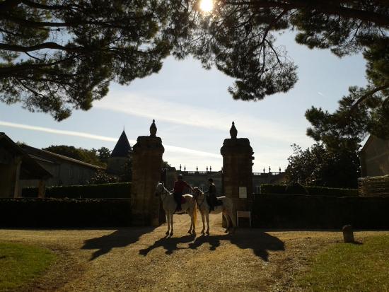 getlstd property photo 729