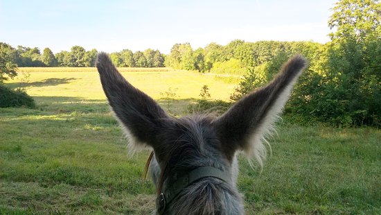 getlstd property photo 731