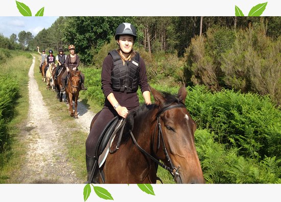 getlstd property photo 734