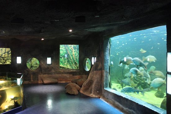 getlstd property photo 750