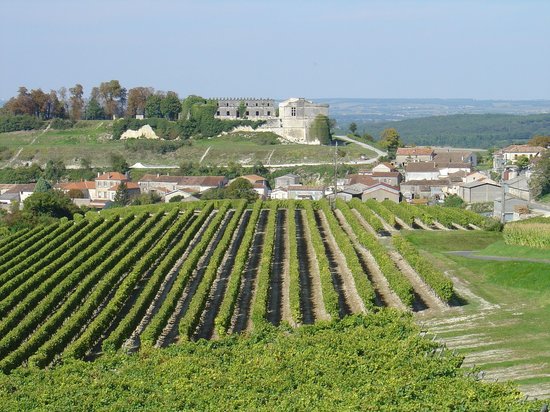 grande champagne vineyards