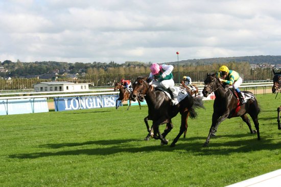 hippodrome deauville