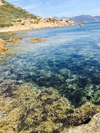 ile des sanguinaires