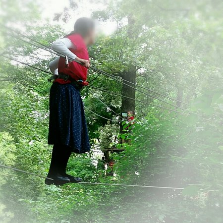 img 20160726 144049 largejpg