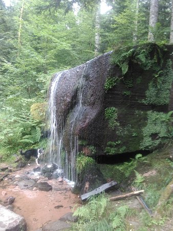 img 20160803 155208 largejpg