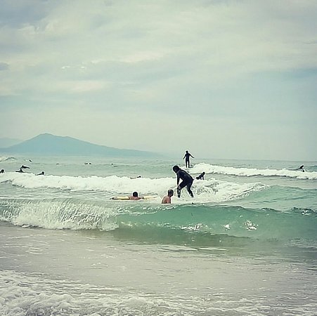 img 20160819 wa0005 largejpg