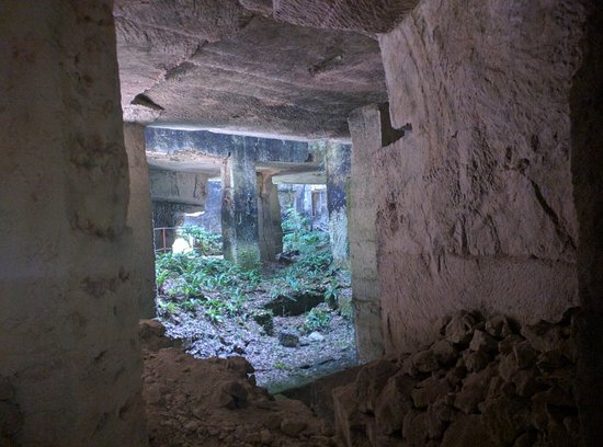 img 20160902 161053 largejpg