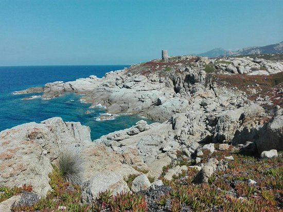 img 20160902 wa0016 largejpg