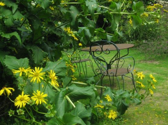 jardin d art et d essai