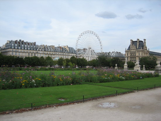 jardin des tuileries