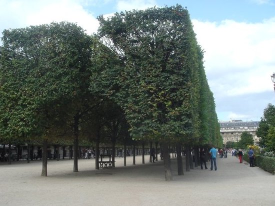 jardin du palais royal