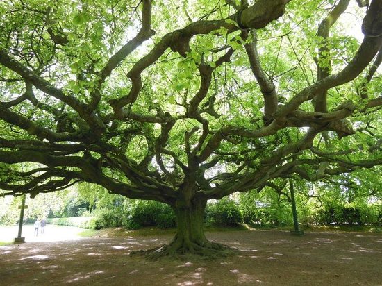 jardin publique de bayeux