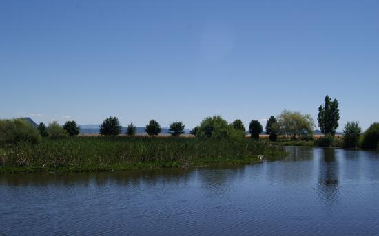 l etang de la plaine