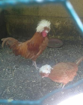 l une des nombreuses