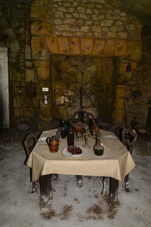 la cave vivante du champignon